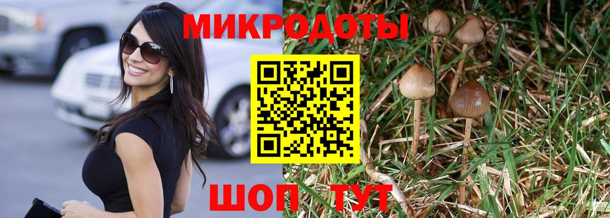 Каменка  Галлюциногенные грибы GOLDEN TEACHER  Вход с VPN 